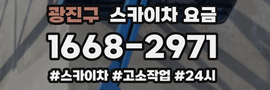 광진구 스카이차 요금