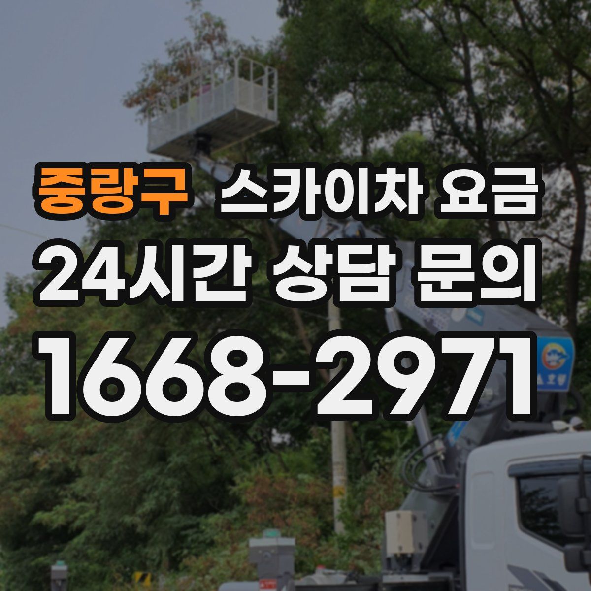 중랑구 스카이차 요금