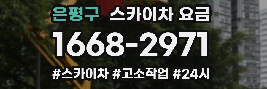 은평구 스카이차 요금