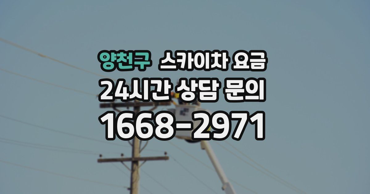 양천구 스카이차 요금