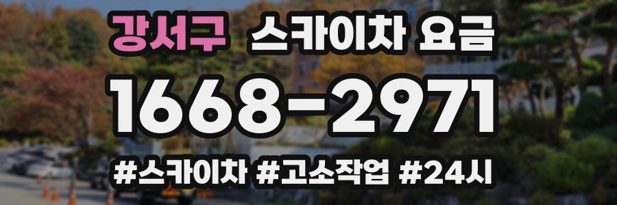 강서구 스카이차 요금
