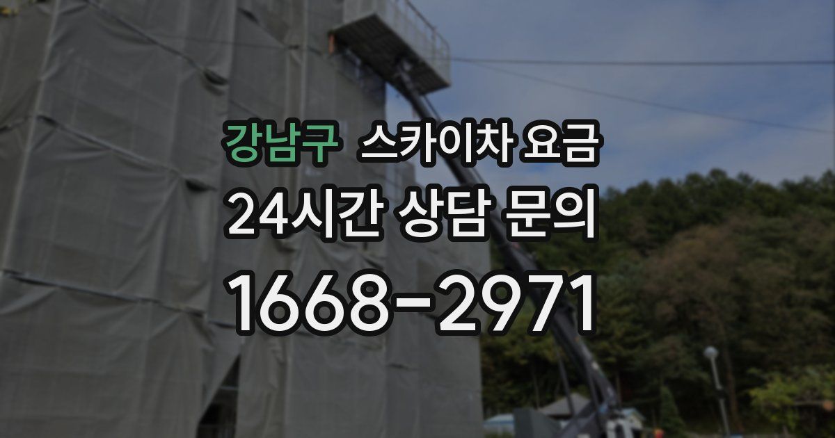 강남구 스카이차 요금
