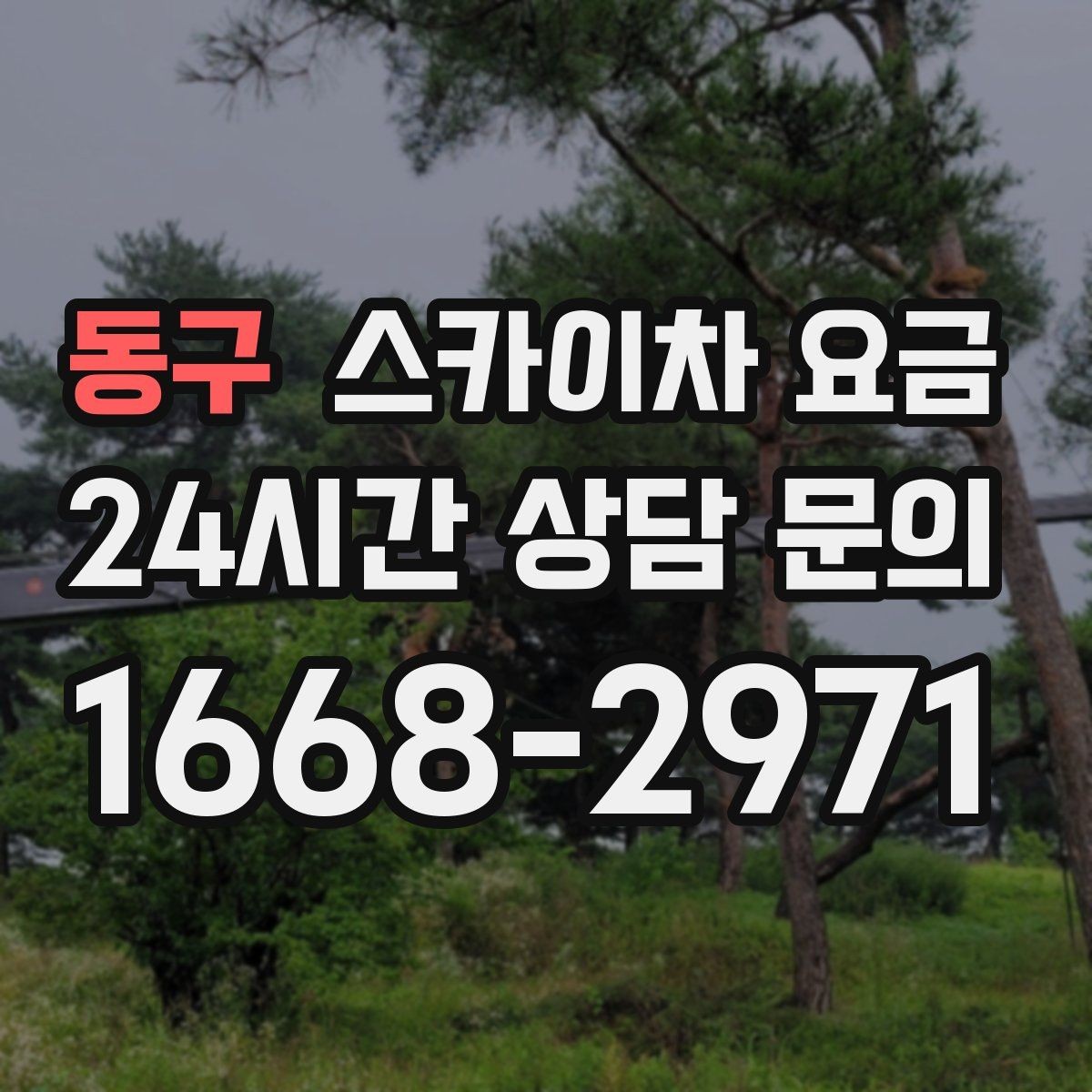 동구 스카이차 요금 현장 사진을 어디서 어떻게 찍어야 할까