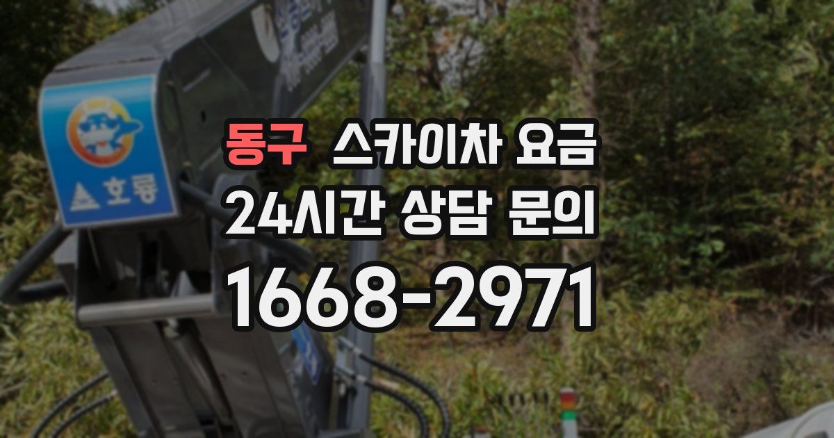 동구 스카이차 요금