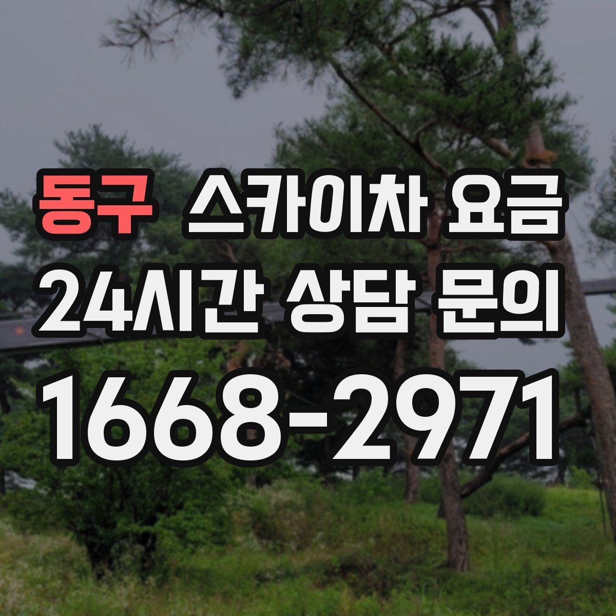동구 스카이차 요금