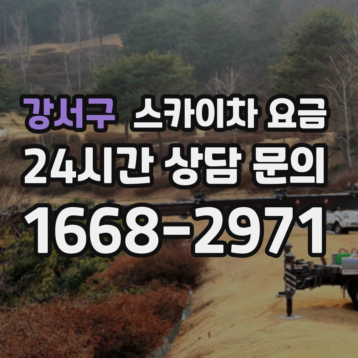 강서구 스카이차 요금