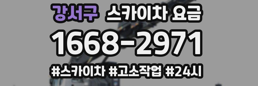 강서구 스카이차 요금