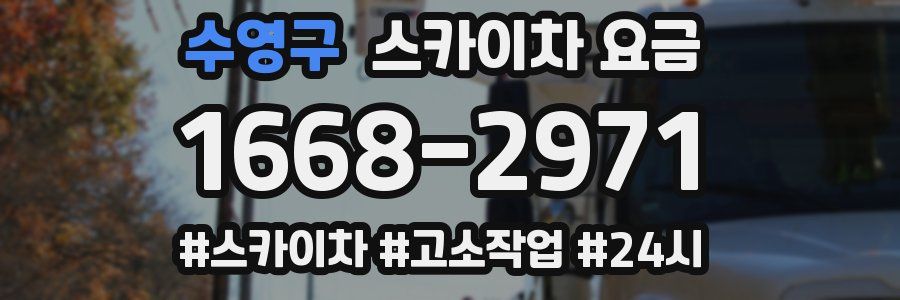 수영구 스카이차 요금