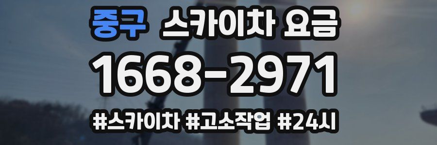 중구 스카이차 요금