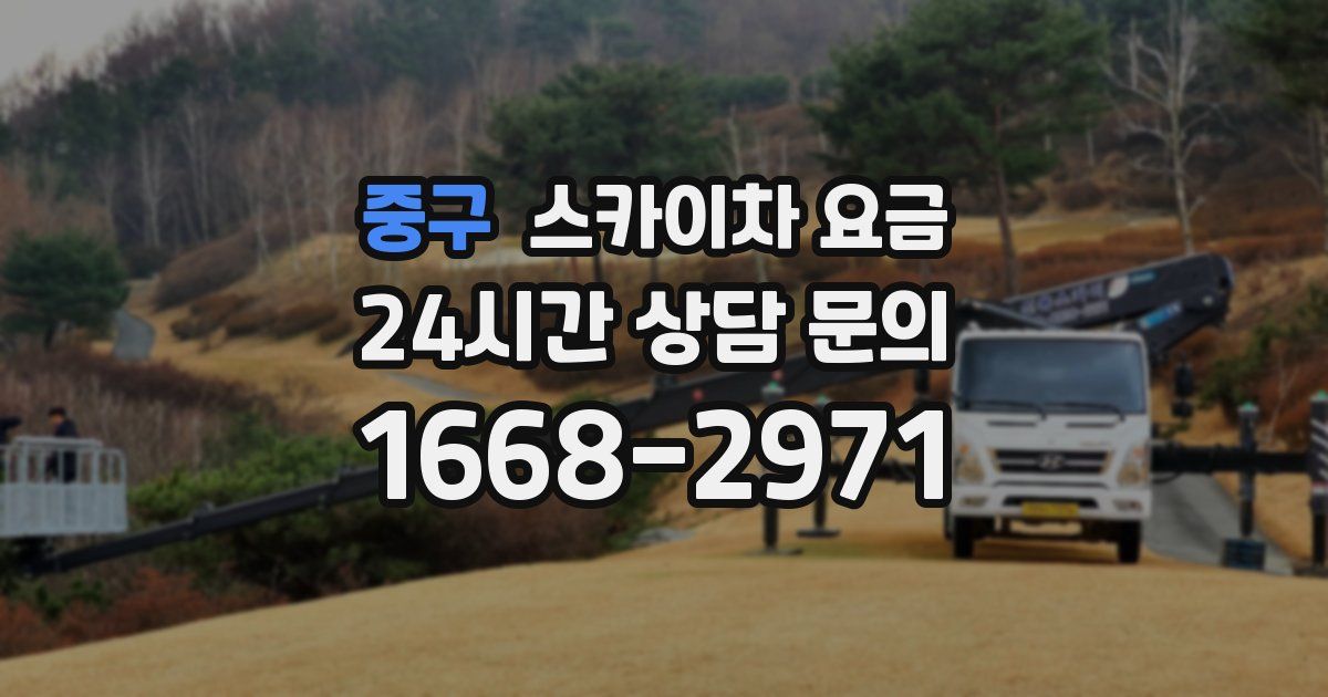 중구 스카이차 요금