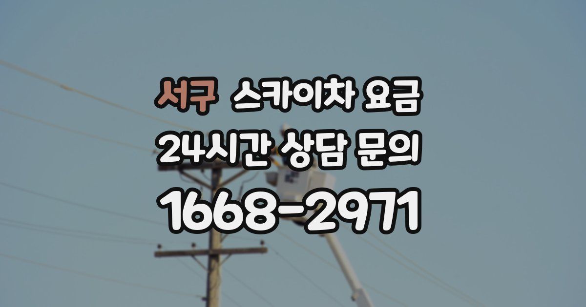 서구 스카이차 요금