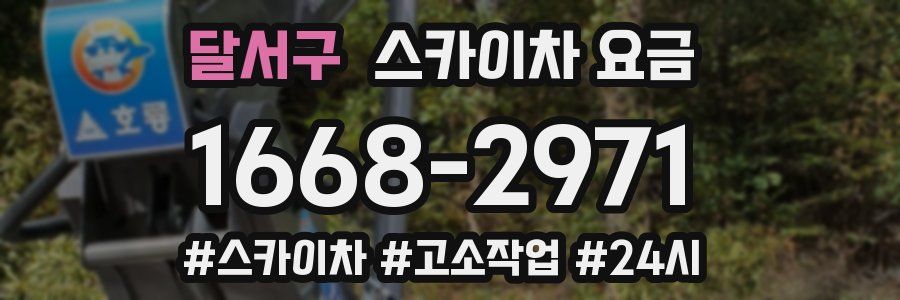 달서구 스카이차 요금