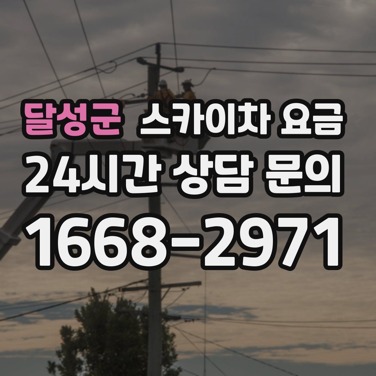 달성군 스카이차 요금