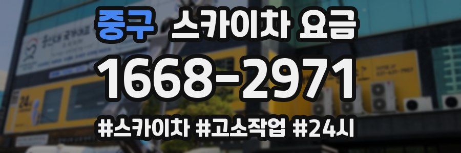 중구 스카이차 요금