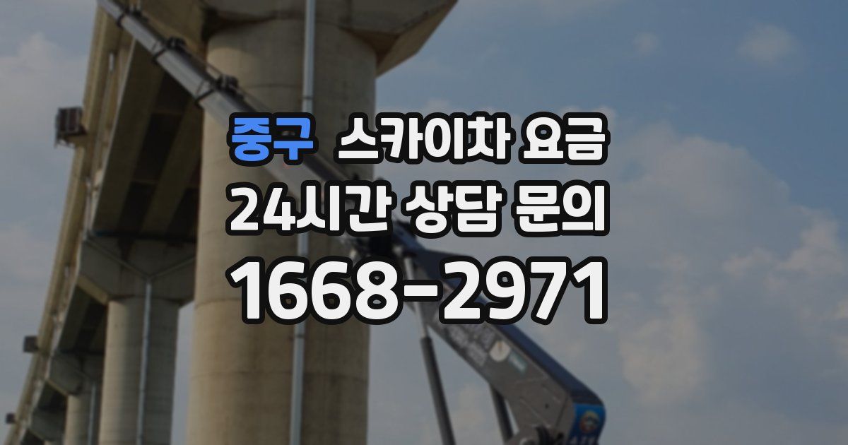 중구 스카이차 요금