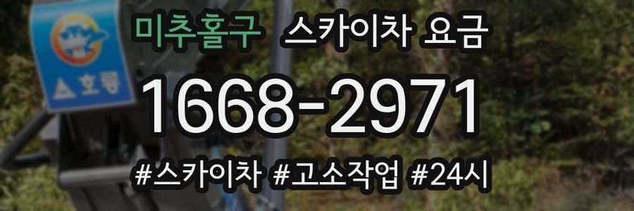 미추홀구 스카이차 요금