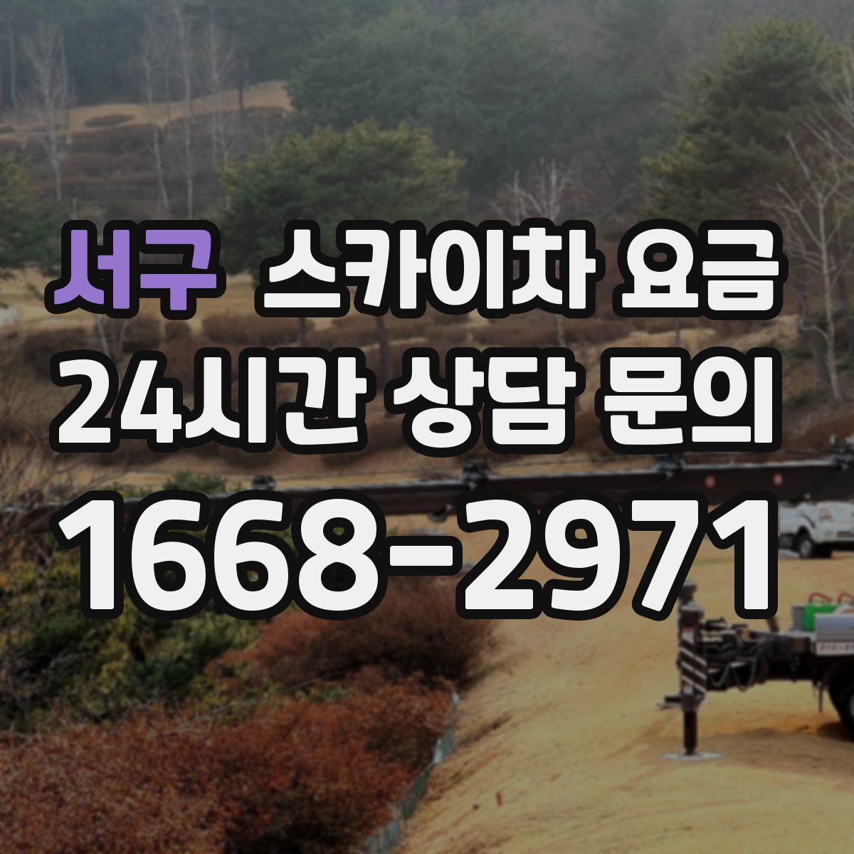 서구 스카이차 요금