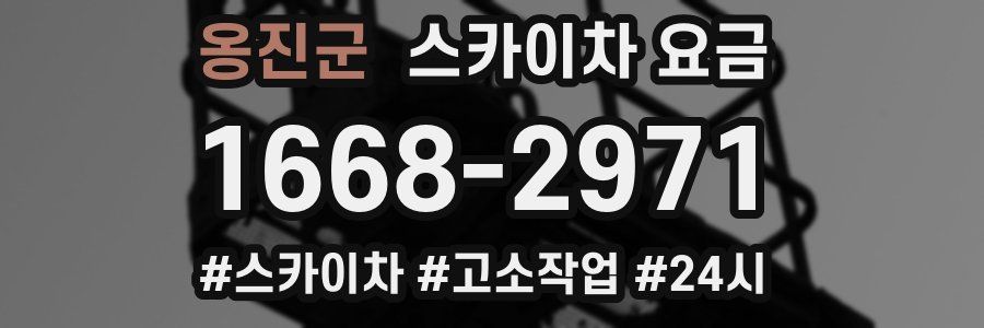 옹진군 스카이차 요금