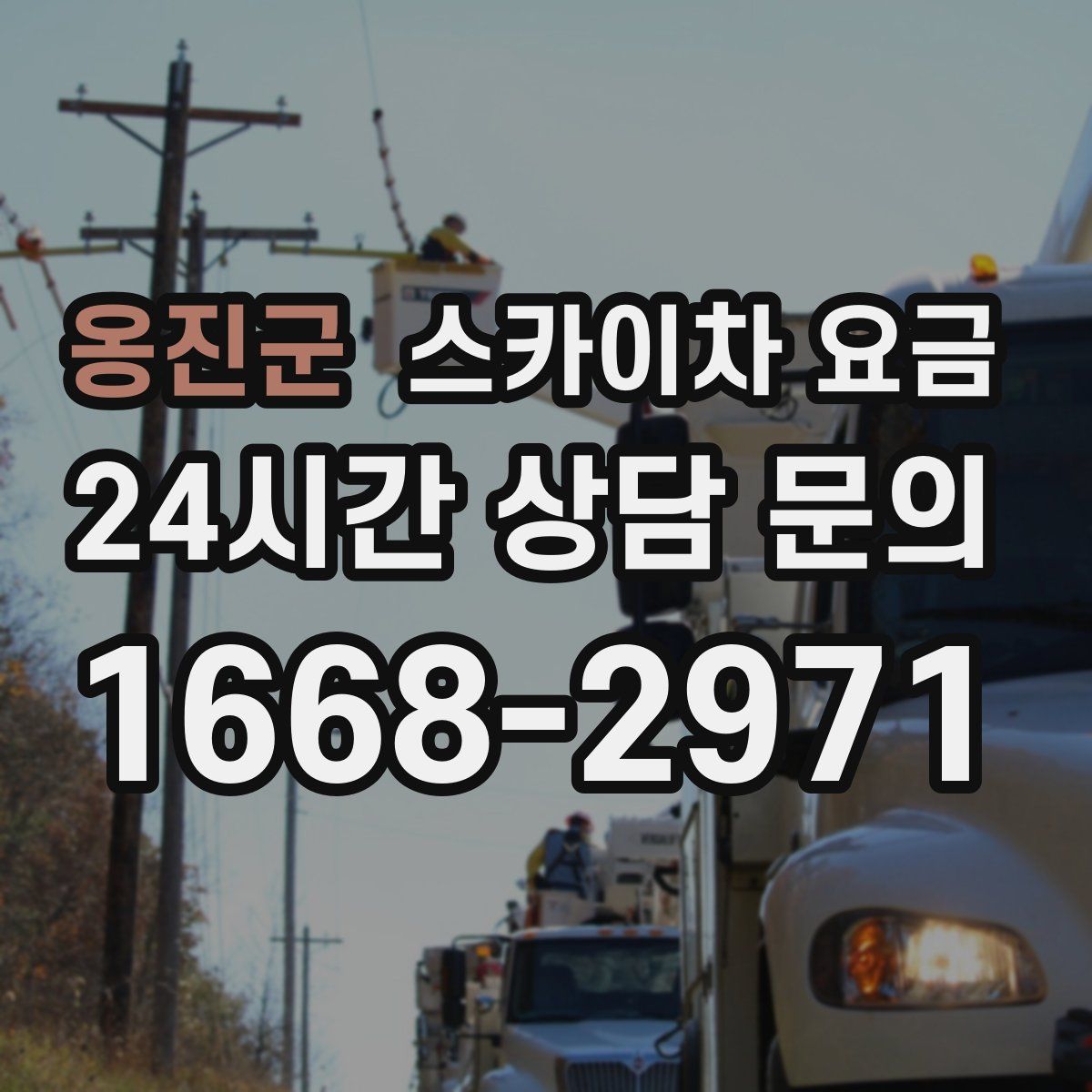 옹진군 스카이차 요금