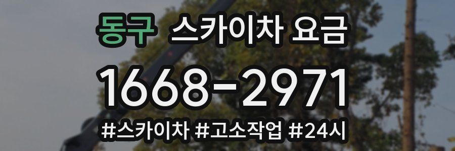 동구 스카이차 요금