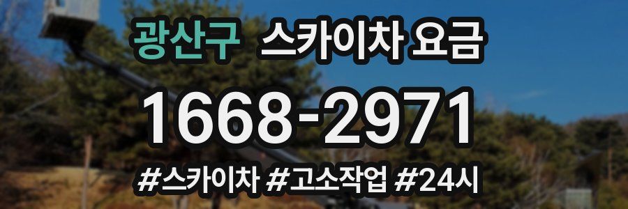 광산구 스카이차 요금