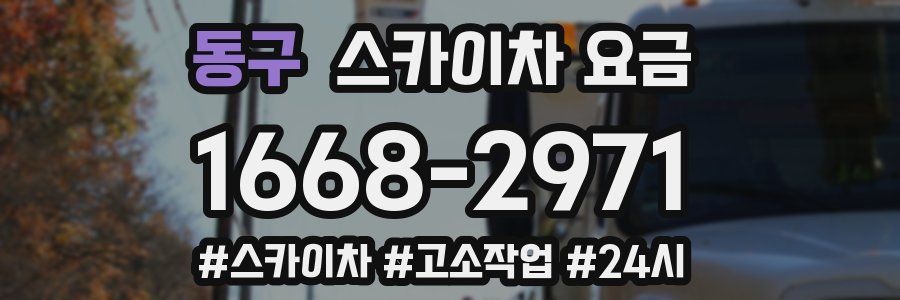 동구 스카이차 요금