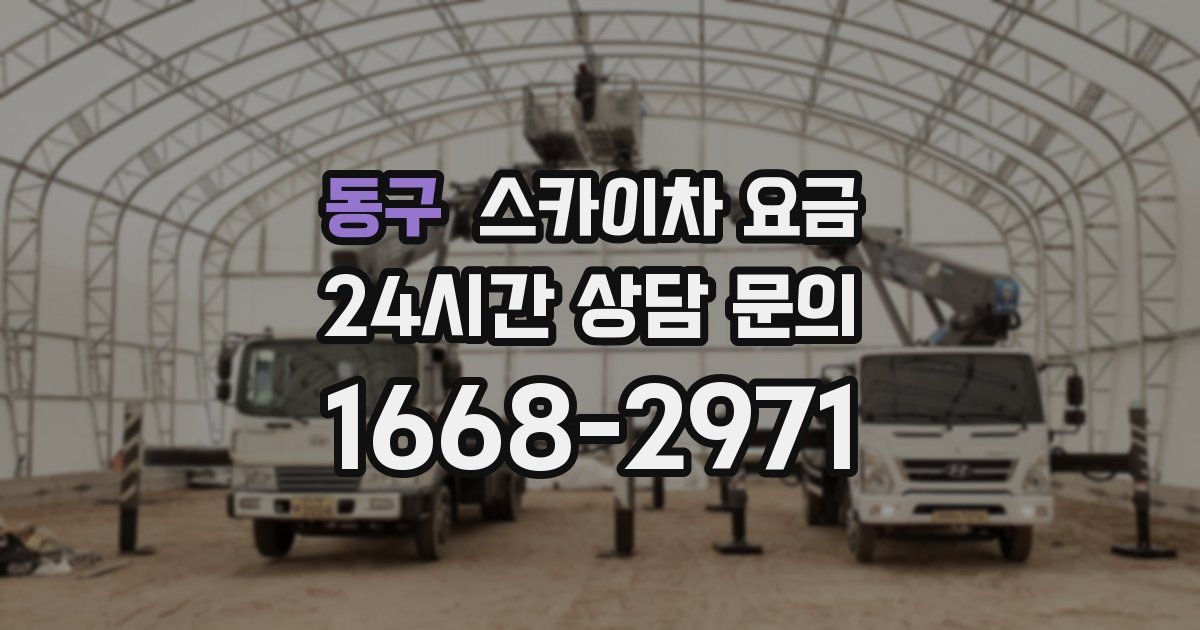 동구 스카이차 요금