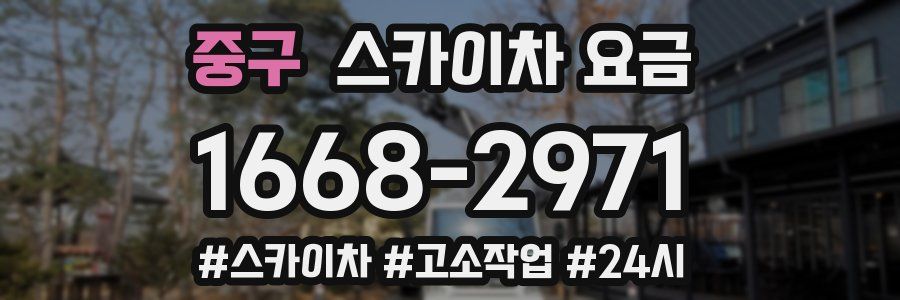 중구 스카이차 요금