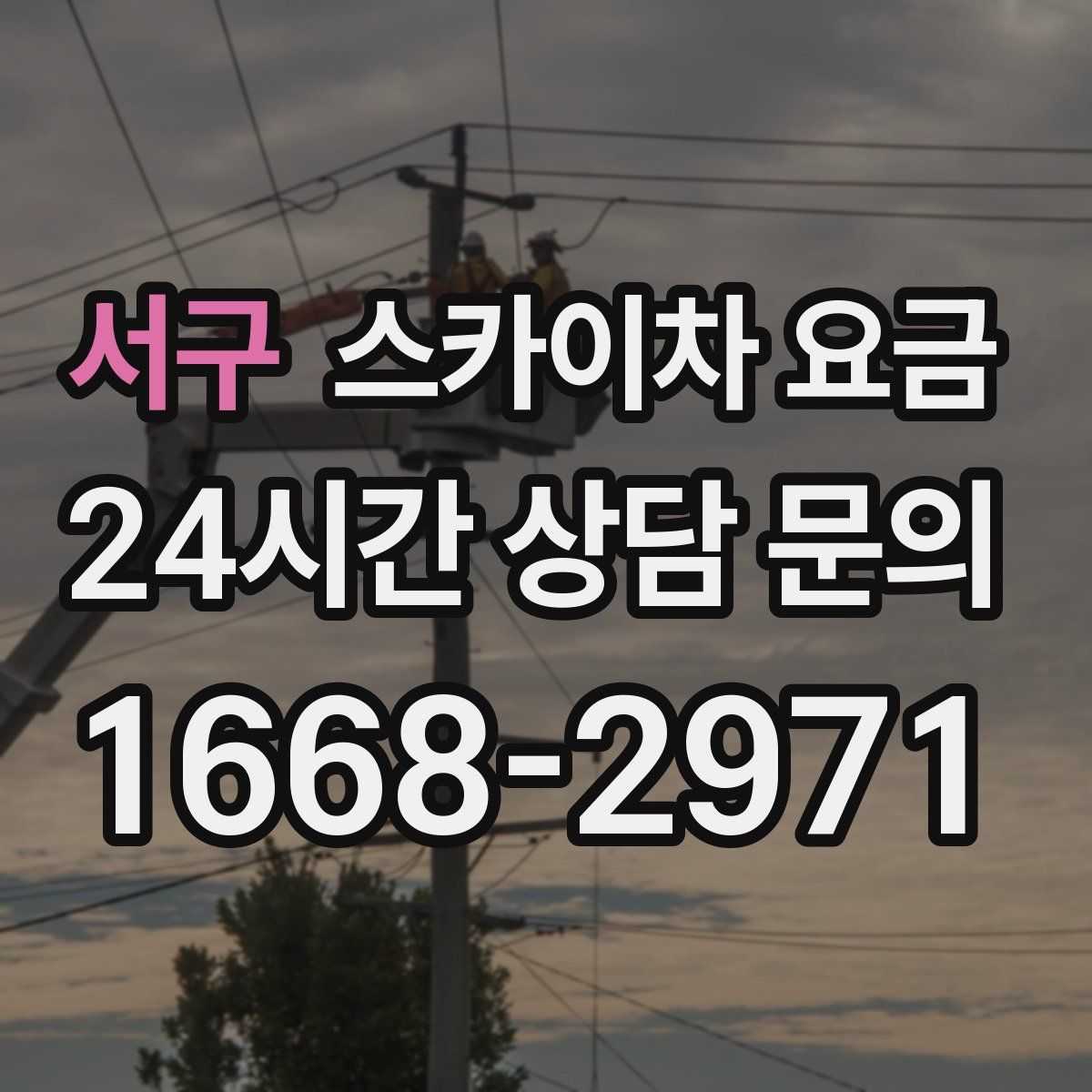 서구 스카이차 요금