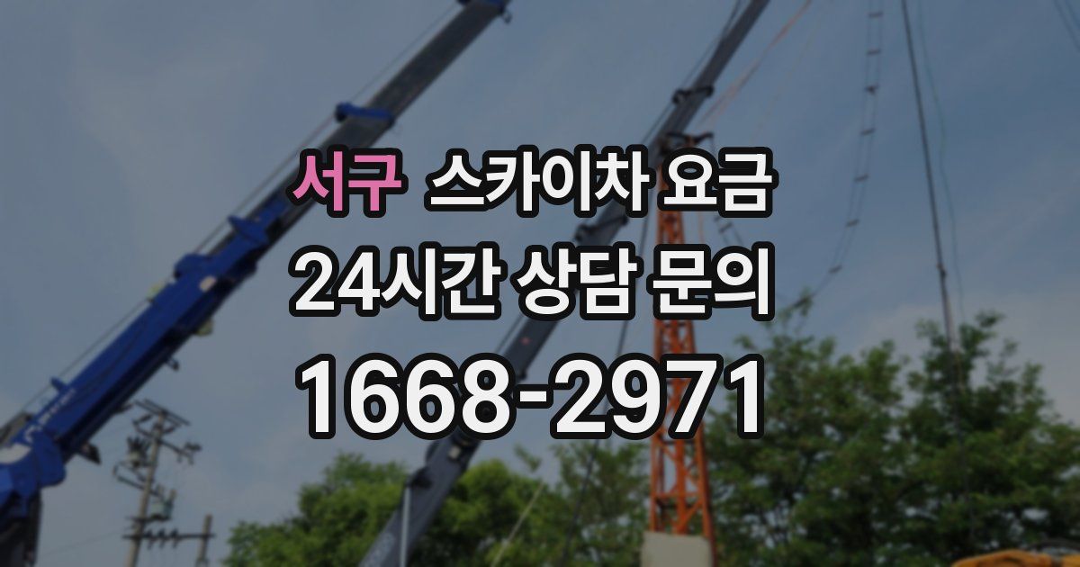 서구 스카이차 요금