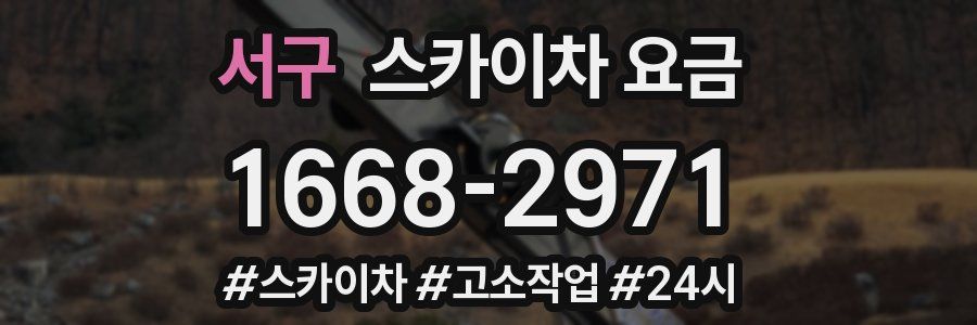 서구 스카이차 요금