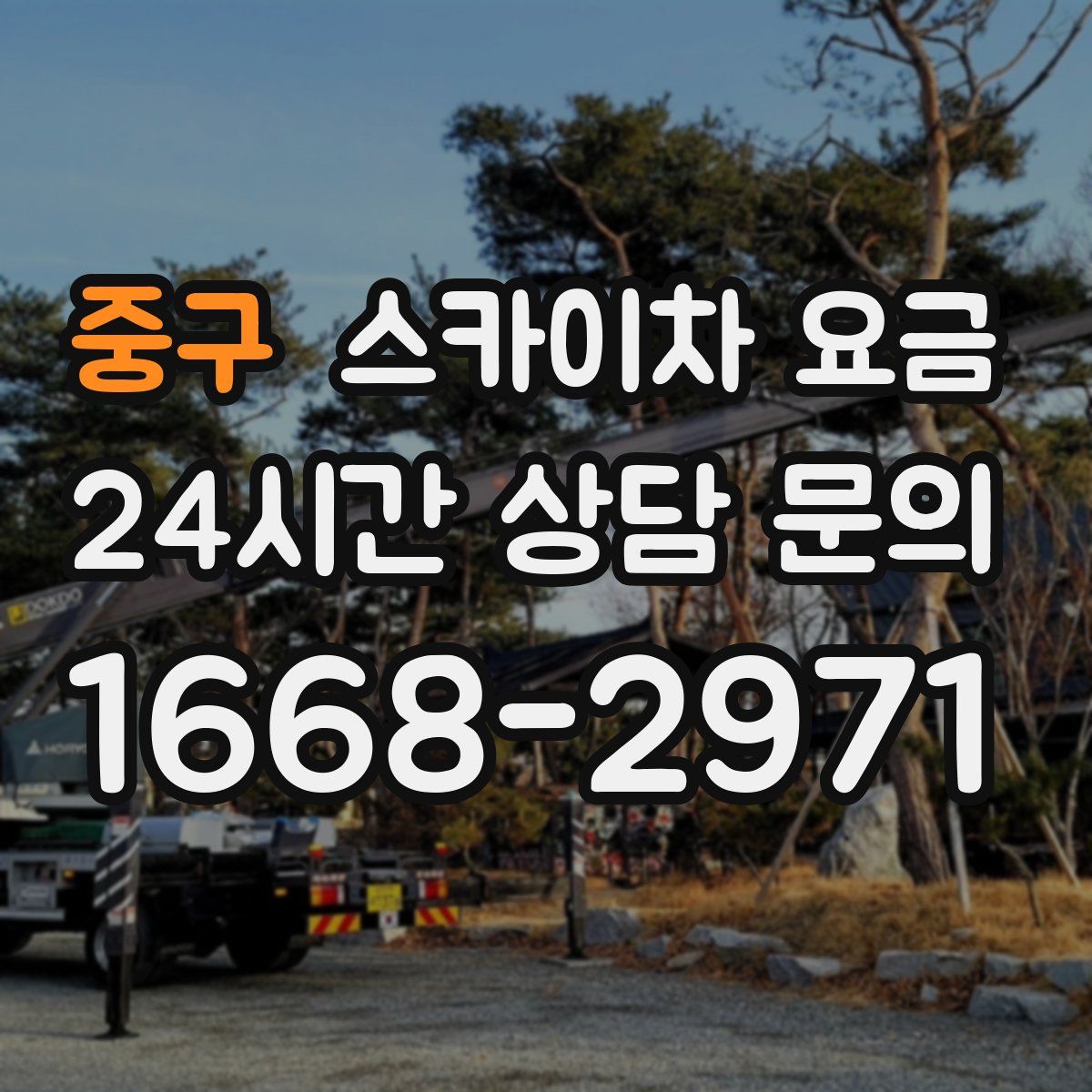 중구 스카이차 요금