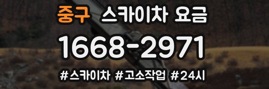 중구 스카이차 요금