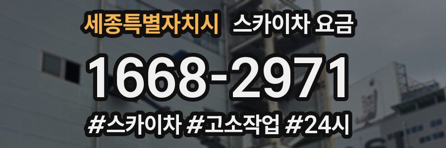 세종특별자치시 스카이차 요금