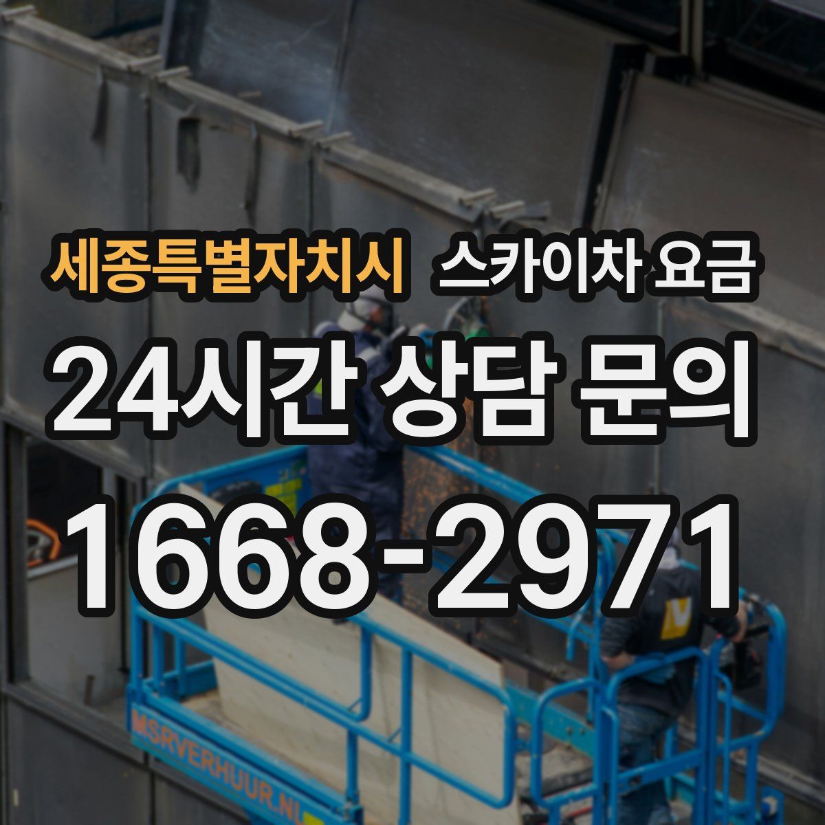 세종특별자치시 스카이차 요금