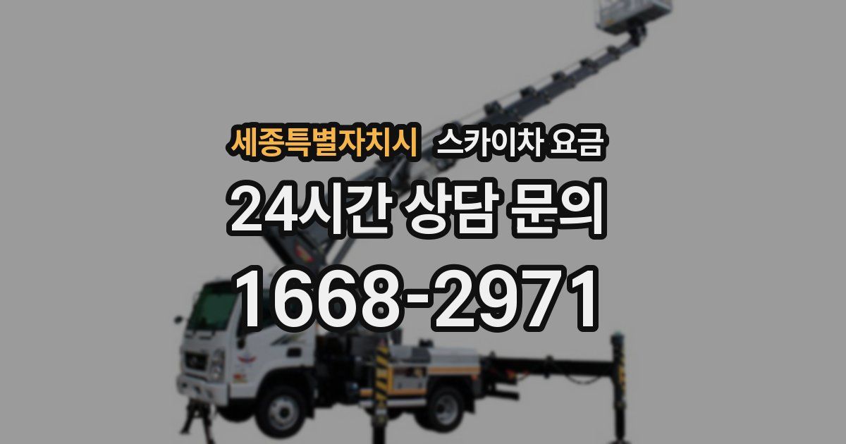 세종특별자치시 스카이차 요금