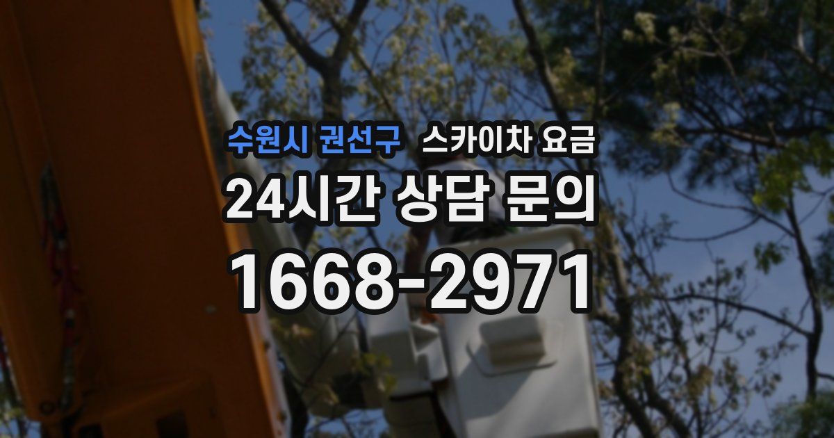 수원시 권선구 스카이차 요금