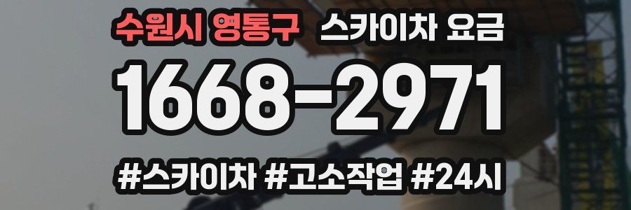 수원시 영통구 스카이차 요금