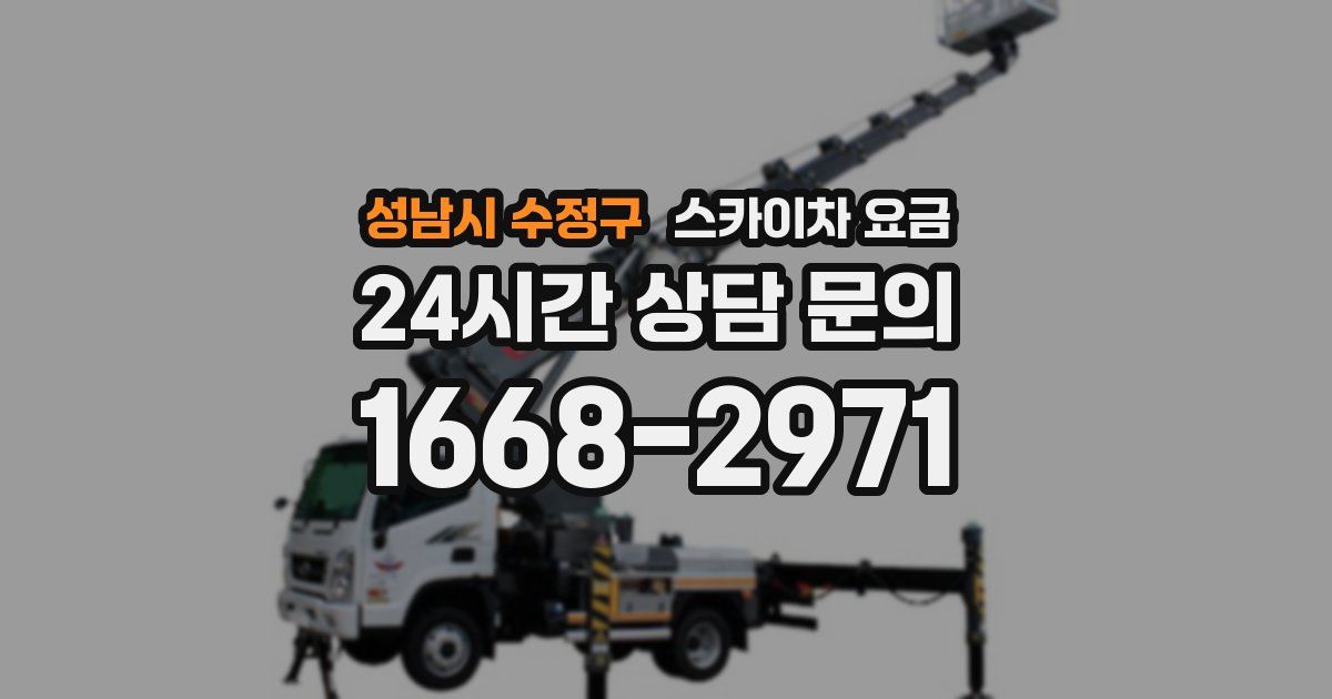 성남시 수정구 스카이차 요금