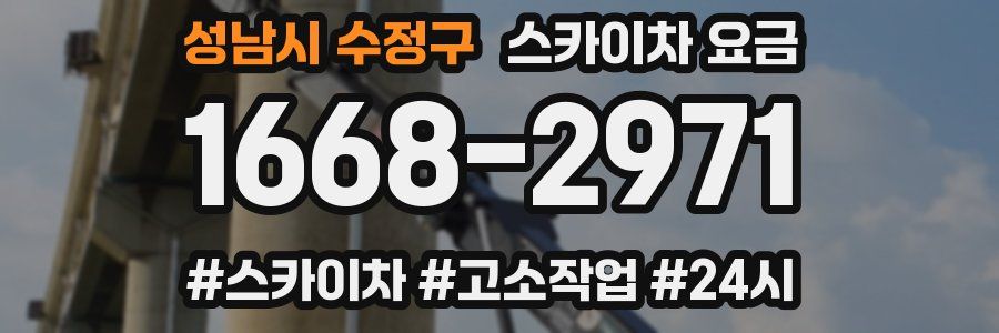 성남시 수정구 스카이차 요금