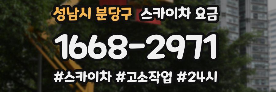 성남시 분당구 스카이차 요금