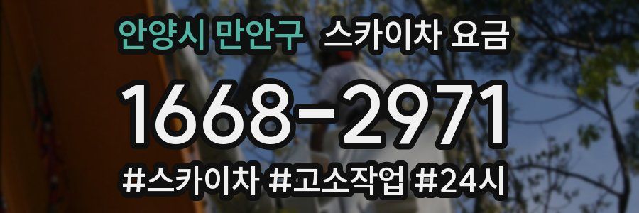 안양시 만안구 스카이차 요금