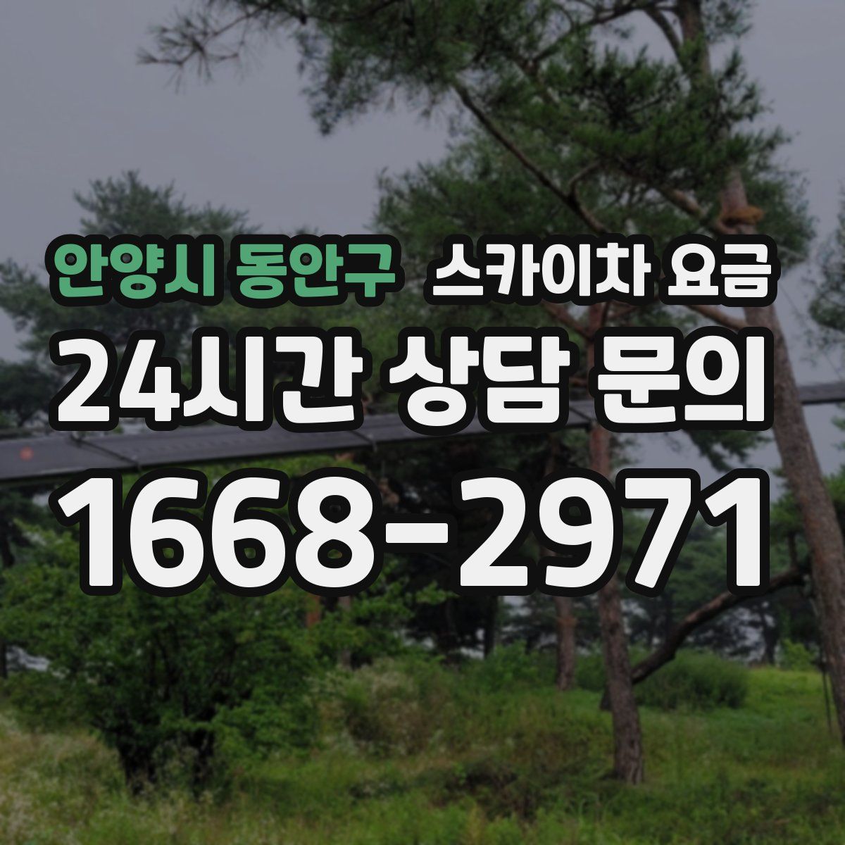 안양시 동안구 스카이차 요금