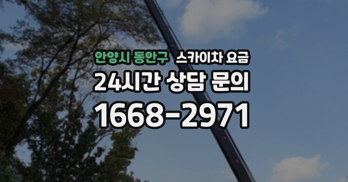 안양시 동안구 스카이차 요금