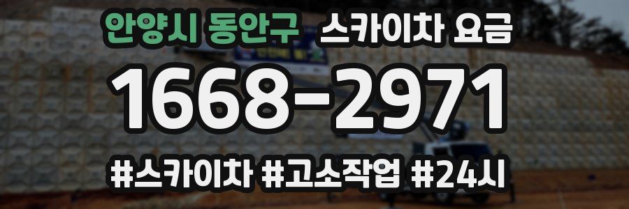 안양시 동안구 스카이차 요금