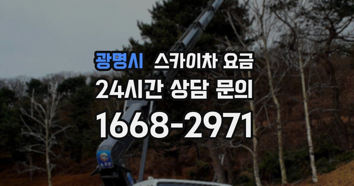 광명시 스카이차 요금