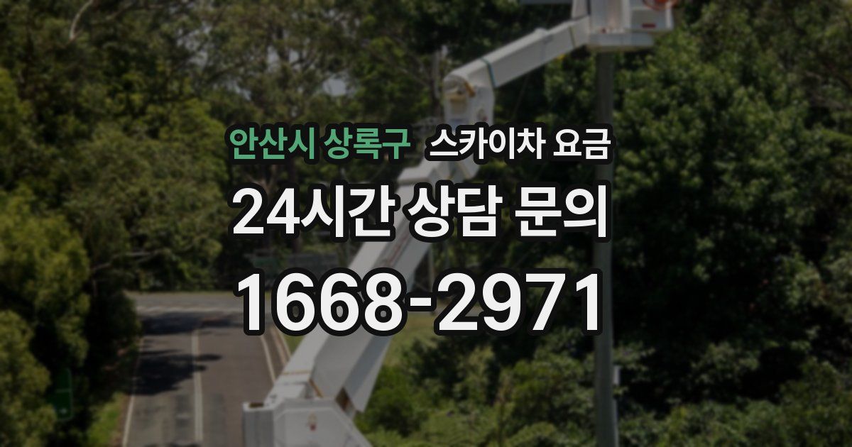 안산시 상록구 스카이차 요금