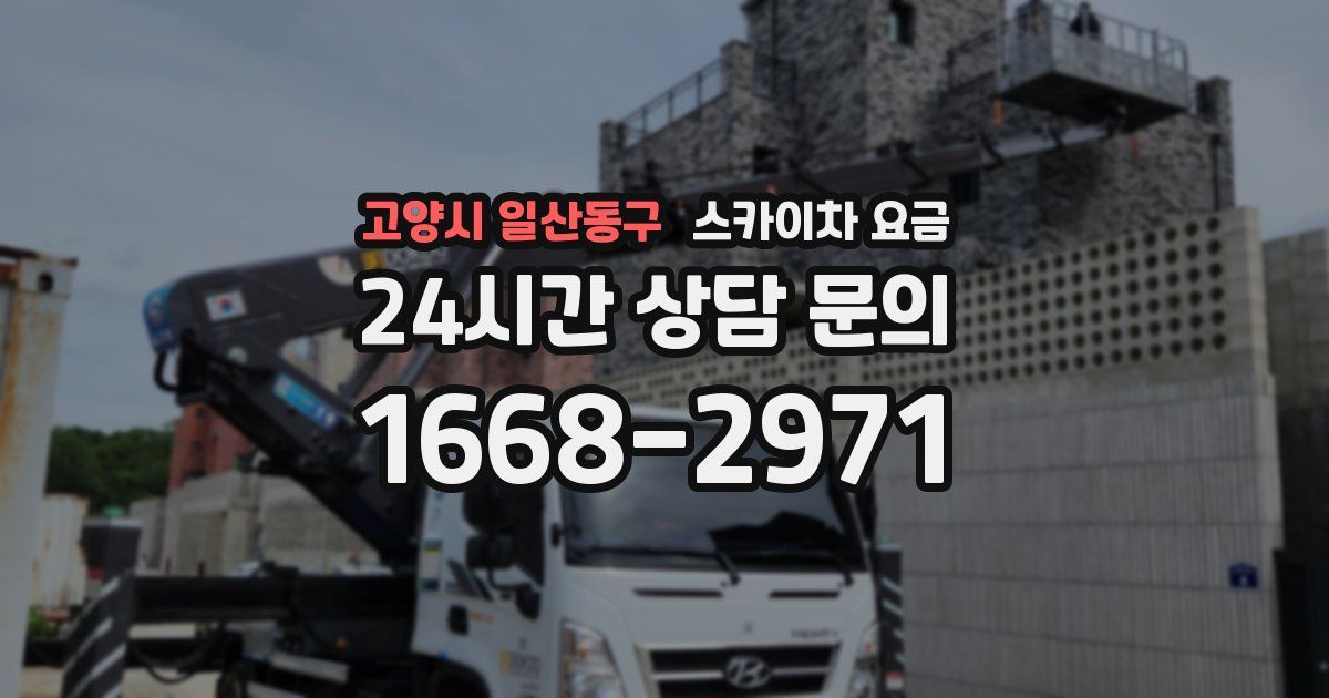 고양시 일산동구 스카이차 요금