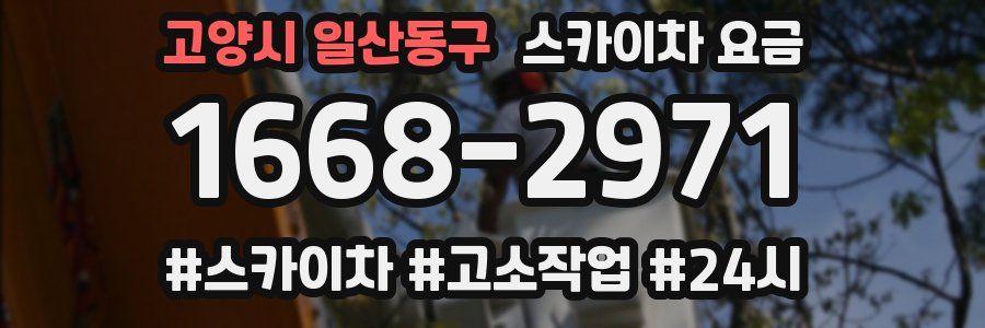고양시 일산동구 스카이차 요금