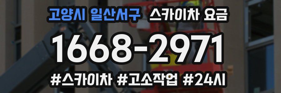 고양시 일산서구 스카이차 요금